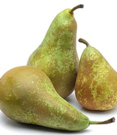 pear_conference